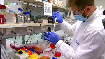 Clinical researchers at the University of Queensland have developed a new test that could detect the cancer much earlier than existing practices. 