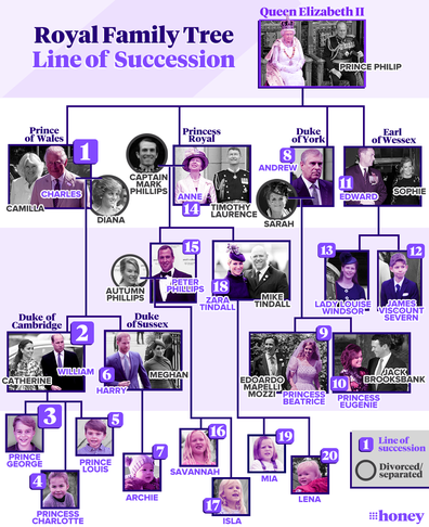 The British Royal Family's line of succession: original 9Honey graphic