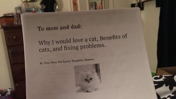 Personal Essay Thesis Statement Dear Mum And Dad A Little Girls Plea Goes Viral Image Compare And Contrast Essay Examples High School also My Country Sri Lanka Essay English Yearold Writes Sixpage Essay To Convince Parents She Needs A Sample Of English Essay