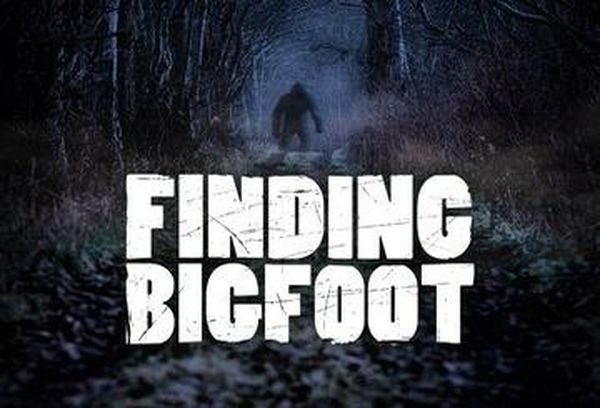 Finding Bigfoot