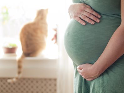 Woman accuses sister of 'stealing' baby name for cat: