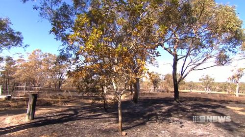 The fire burnt through 360 hectares of bushland. Picture: 9NEWS