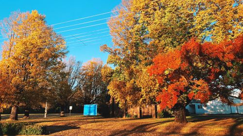 Guyra, NSW weather