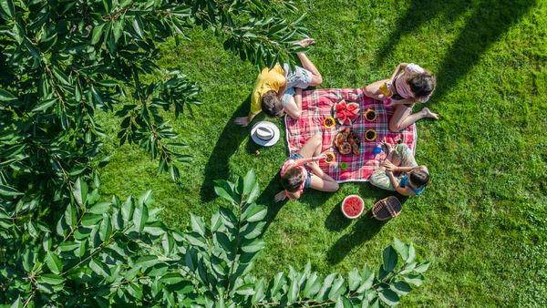 Your own French-inspired picnic