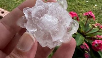 A large hailstone in Newcastle following a thunderstorm.