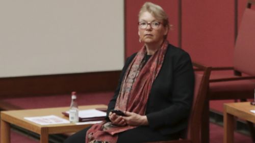 Greens Senators Janet Rice. Picture:  Alex Ellinghausen