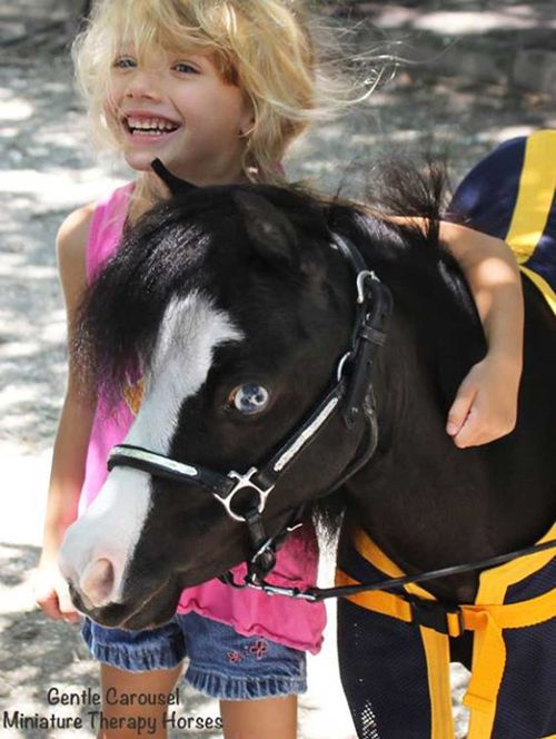 Magic working with children at the Ronald McDonald House of Charleston. (Image: Gentle Carousel Miniature Therapy Horses)