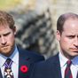 Why Prince William 'feels envious' of brother Prince Harry