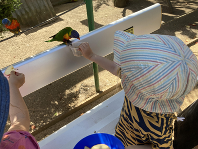 Grab some mealworms to feed the birds at the walk-in aviary.