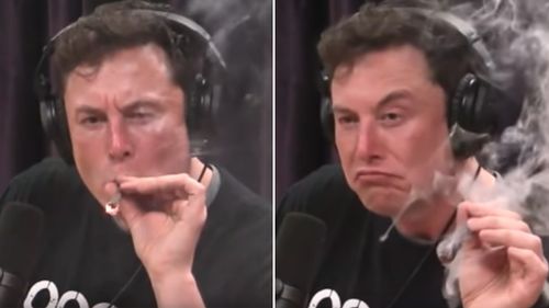 Shares of electric car maker Tesla Inc fell more than six percent today after the CEO appeared to smoke marijuana during an interview.