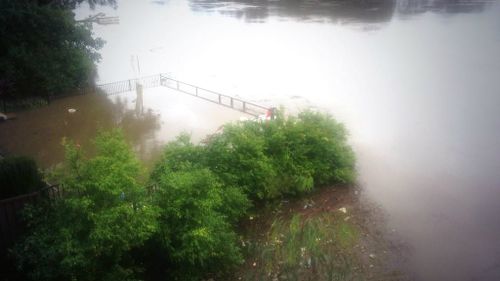 The Georges River burst its banks, flooding homes in Sydney's southwest. (9NEWS)