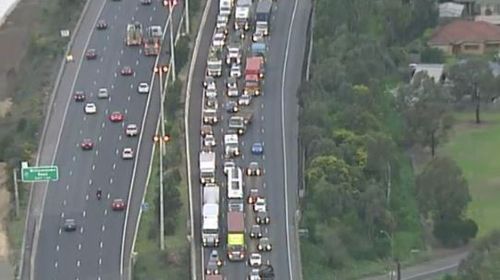 Man hit by truck, killed on Melbourne's Westgate Freeway