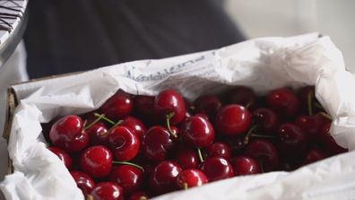 Five kilos of cherries sell for $50,000