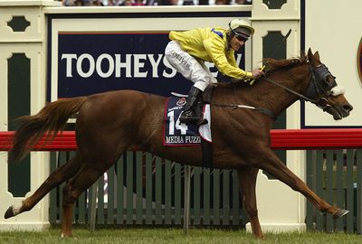 2002: A week after his brother died, Damien Oliver won aboard Media Puzzle ($6.50)