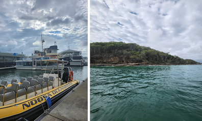 noosa oceanrider dolphin safari