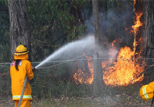 The lack of rain across Victoria in the past 40 days as authorities on high alert for bushfires. (File)