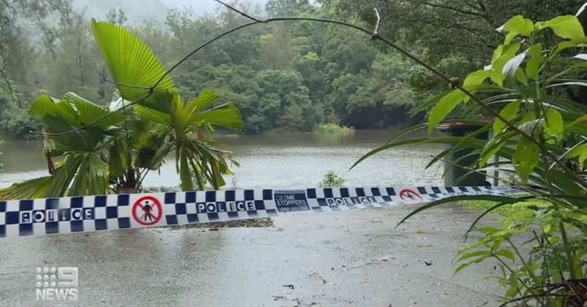 Wildlife Officers Spot Crocodile Hours After Horror Attack On Swimmer At Lake Placid