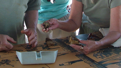 The second pterosaur femur was found near Winton, at the Elliot dig site in 2004.