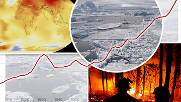 Climate scientists have sounded the alarm over Earth&#x27;s vital signs