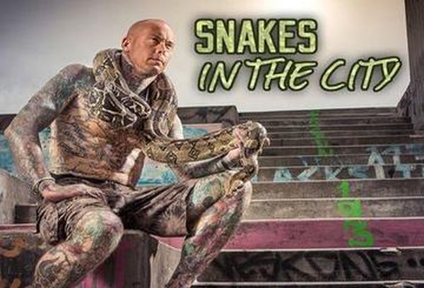 Snakes in the City