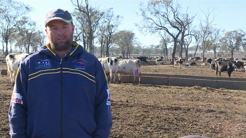 Ashley Gamble has officially run out of feed for his already starving cattle. Image: 9News