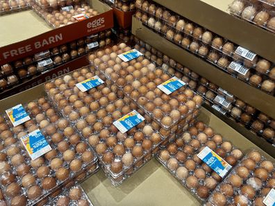 best supermarket eggs crowned canstar
