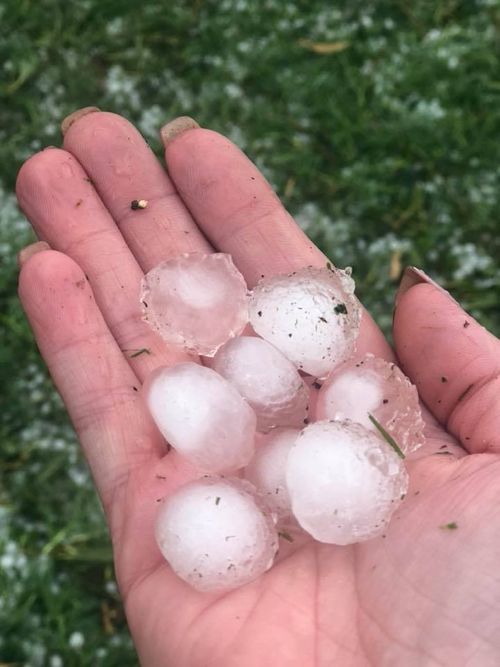 Huge hailstones wrecked havoc.