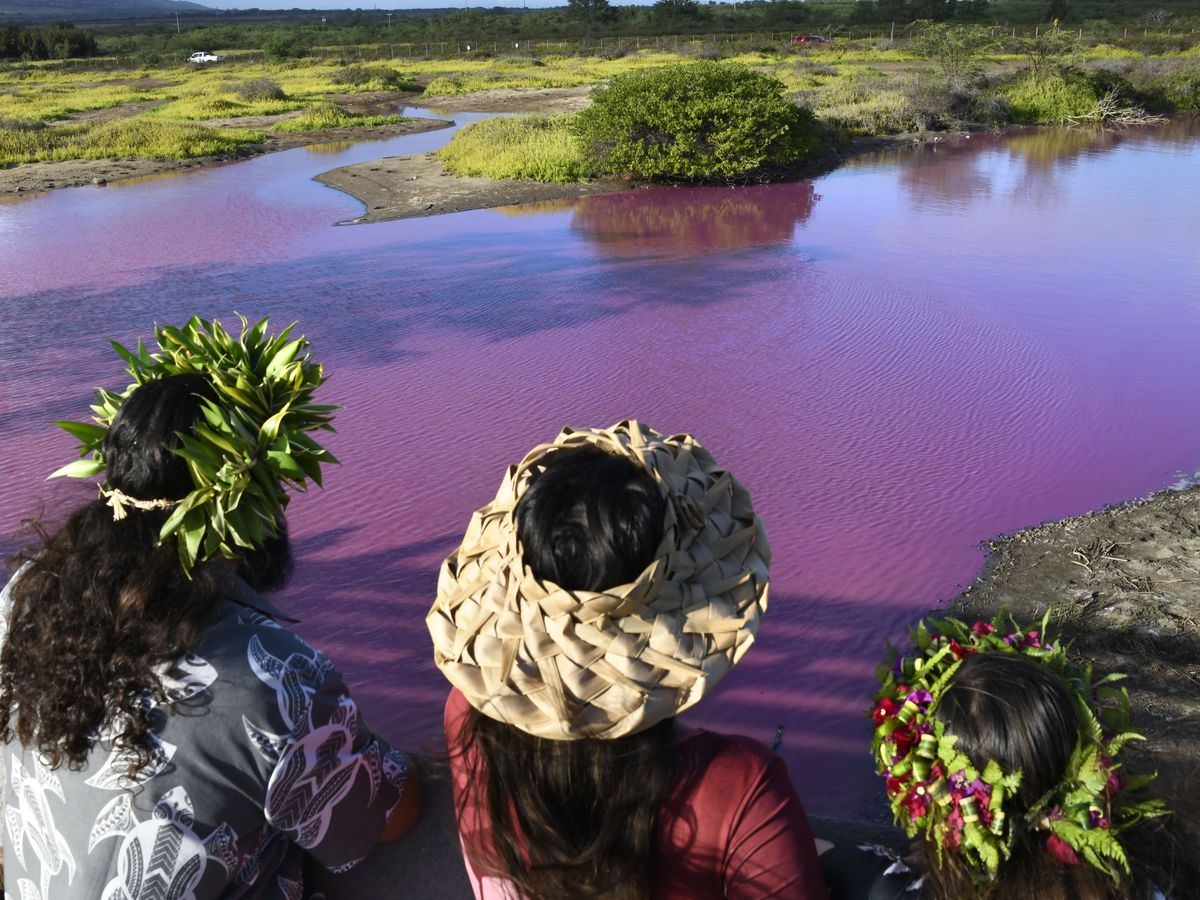 Locals warned to stay away after Australian swamp mysteriously turns pink