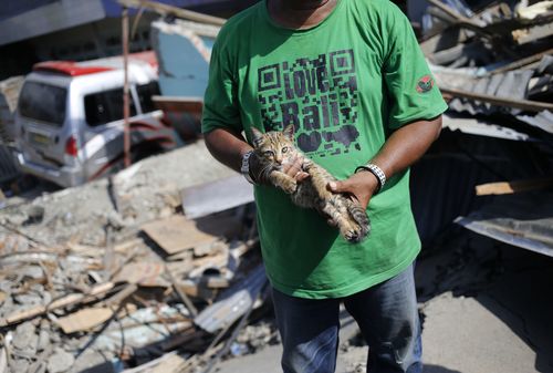 Thousands have been left homeless after an earthquake and tsunami devastated the Indonesian island of Sulawesi.