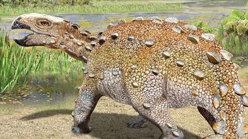 An artist&#x27;s impression of a new species of armoured dinosaur named Stegouros elengassen.