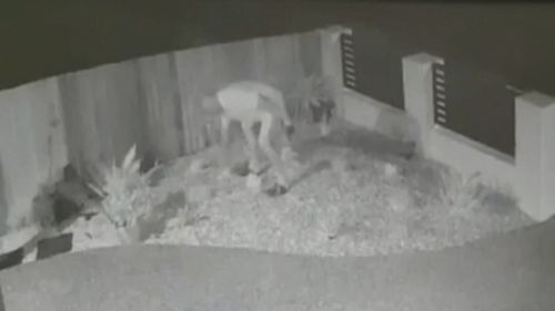 This CCTV image was caught of somebody in a backyard.