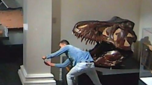 The man was filmed taking photos with exhibits as he wandered through the museum.