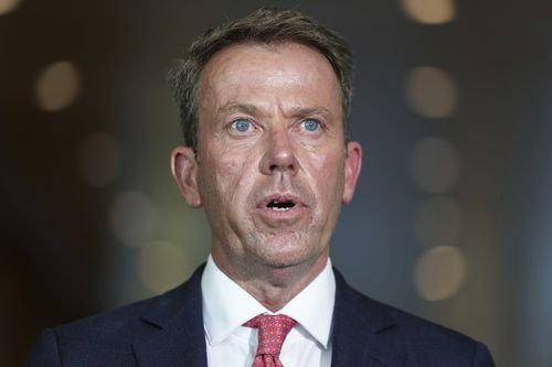 O Ministro-sombra da Energia e Redução de Emissões, Dan Tehan, dirige-se aos meios de comunicação social numa conferência de imprensa após uma reunião na sala do Partido Liberal, na Casa do Parlamento em Camberra, na quarta-feira, 12 de novembro de 2025.