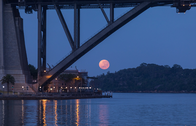 Super moon viewed beneath Sydney Harbour Bridge