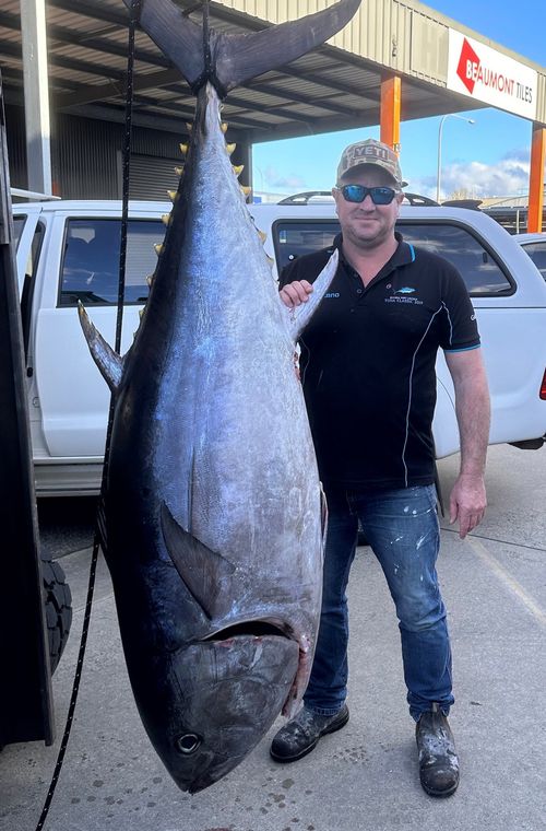 133kg Tuna