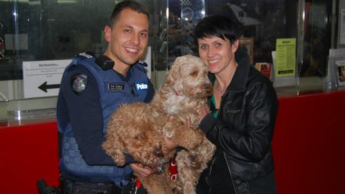 Stolen pooch returned to overjoyed Melbourne owner three months after dog-napping