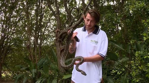 WIRES reptile species coordinator for the Coffs Coast, Kenny Damanschke.