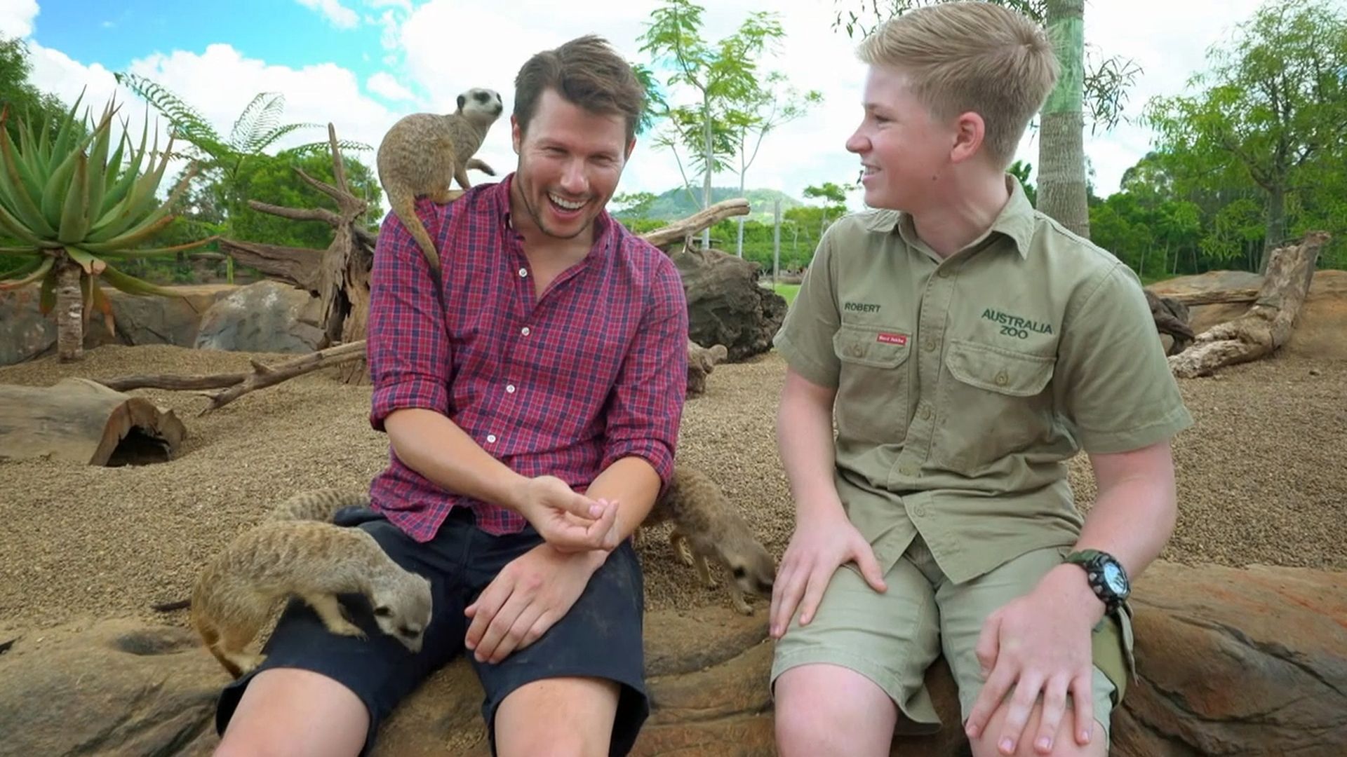 Australia Zoo: Getaway 2021, Short Video
