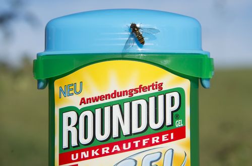Monsanto was ordered to pay 289 million US dollars by San Francisco's Superior Court of California, USA, because of damages to school groundskeeper Dewayne Johnson who alleged the company's glyphosate-based weed-killers, including Roundup, caused him cancer. 