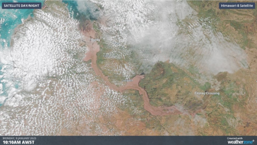 The satellite image above shows WA's Fitzroy River in full flood, after heavy rain generated by ex-tropical cyclone inundated the region.