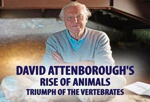 David Attenborough's Rise of Animals