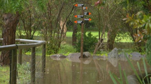 Flooding hits suburbs on the NSW South Coast.