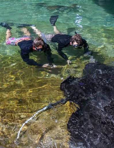 Daydream Island's Living Reef snorkelling experience