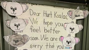The letter sent to Port Macquarie koala hospital.