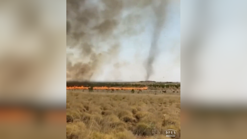 "Firenado" filmed tearing through the Western Australian bush.