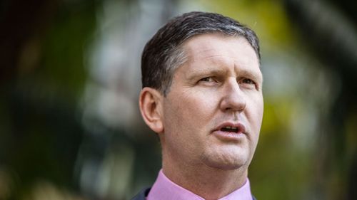 LNP leader Springborg faces potential leadership coup