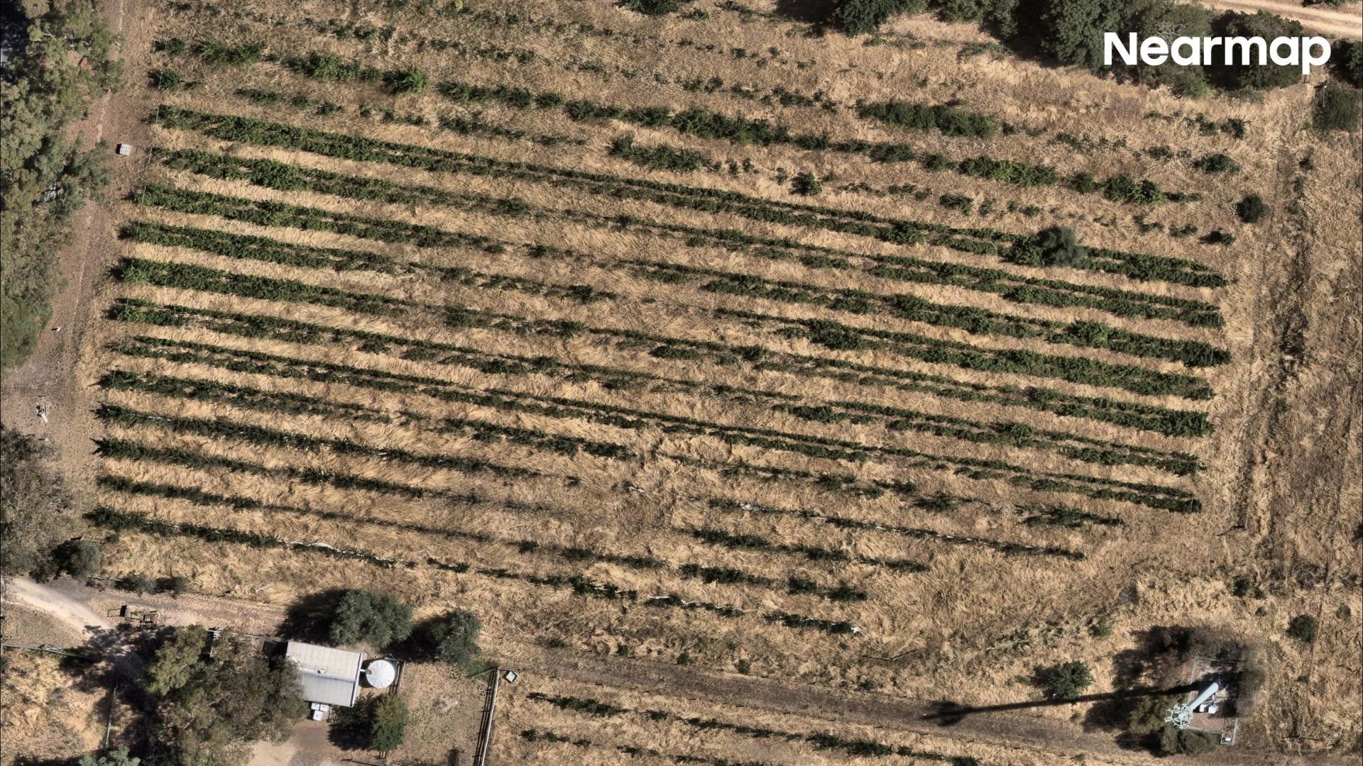 Harcourt em 29 de dezembro de 2025.