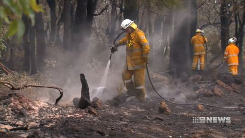 Firefighters have been praised for bringing the blazes under control. Picture: 9NEWS