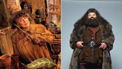Margolyes plays Professor Sprout, the Herb teacher at Hogwarts, while Coltrane is known for playing the gentle giant, Rubeus Hagrid. 