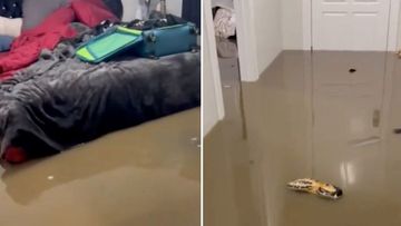 Daniel and Rhiannan Drake lost their home near Bendigo in Victoria floods